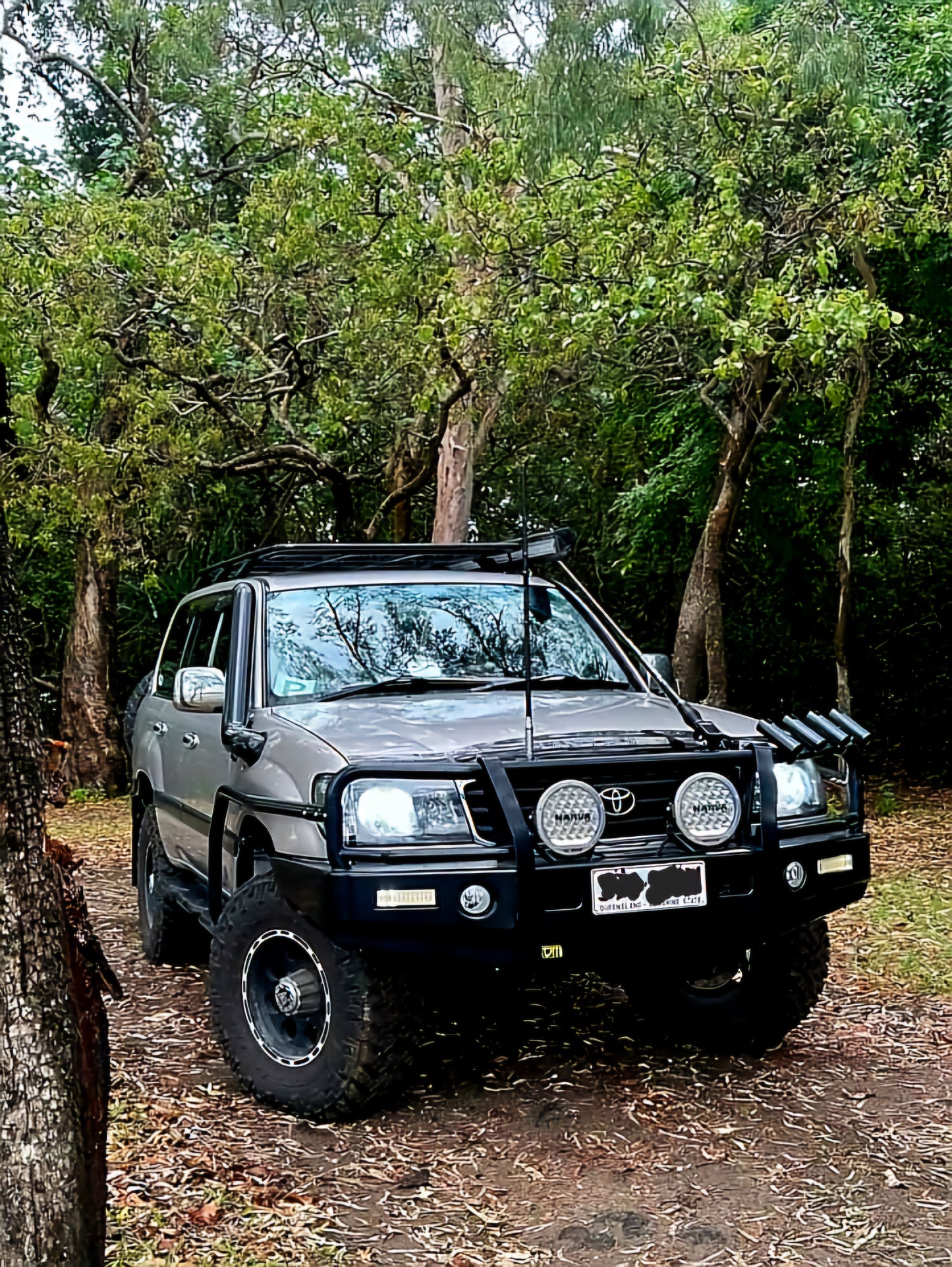 A pickup with dual snorkels and side mirrors parked on a dirt path.