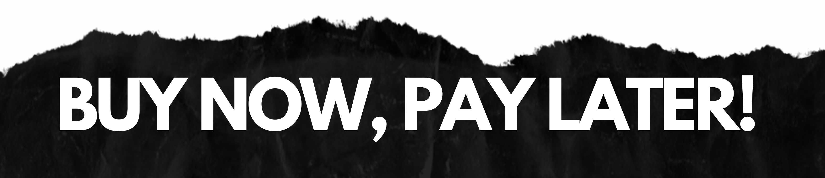 Banner with text 'BUY NOW, PAY LATER'